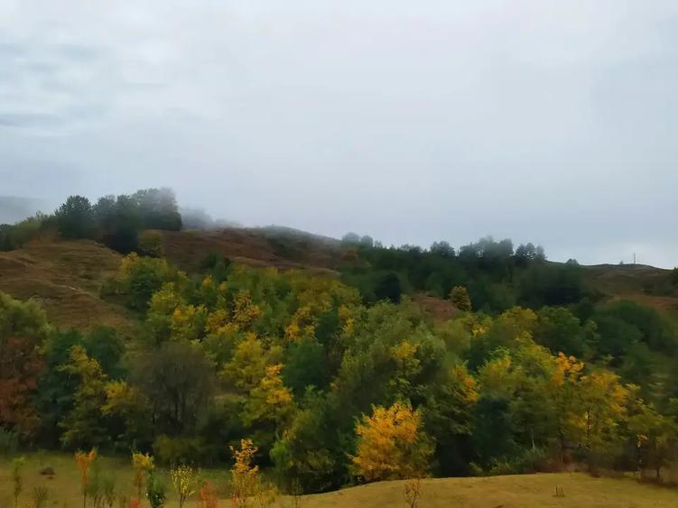 Teren intravilan de 1688 mp, în Sultanu