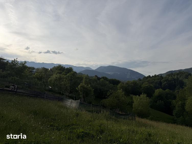 Teren de 2000 mp, în Moieciu