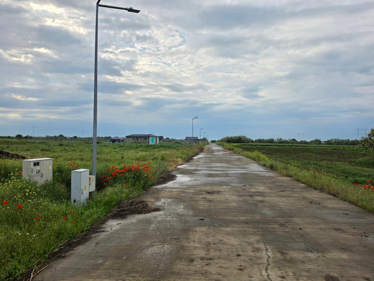 Teren Construcții intravilan de 529 mp, în Frumușani