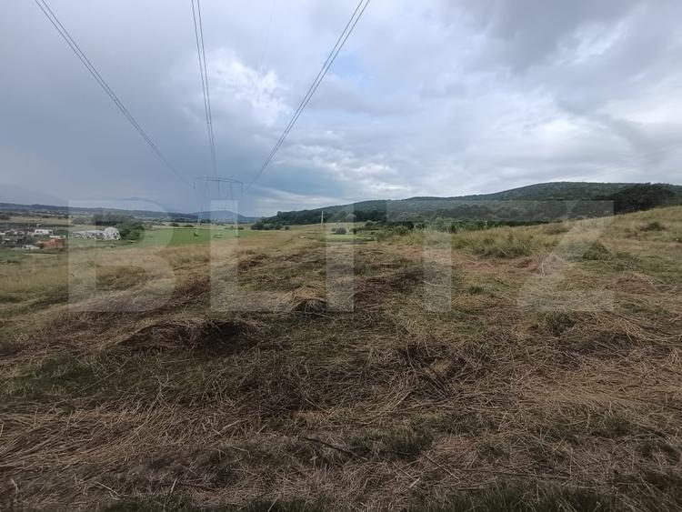 Teren Construcții de 3600 mp, în Podu Oltului