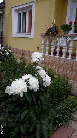 Casă în Pașcani