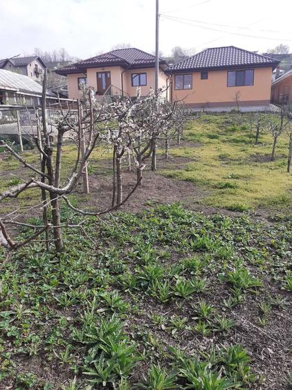Casă cu 3 camere în Muntenii de Jos