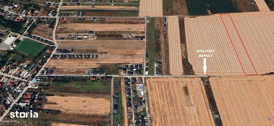 Teren intravilan 12.500 mp Dragomiresti Vale, Str. Lalelelor - 3