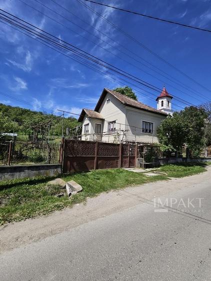 Casă individuală cu 3 camere cu Teren 3000 Mp în Petrindu