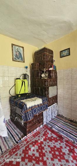 Casa de vanzare Ferastrau-Lesunt - 4