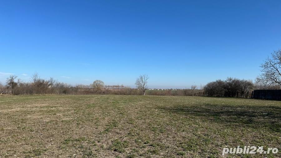 Teren de 10000 mp, în Lucianca