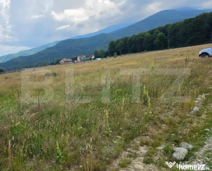 Teren în Sâmbăta de Sus
