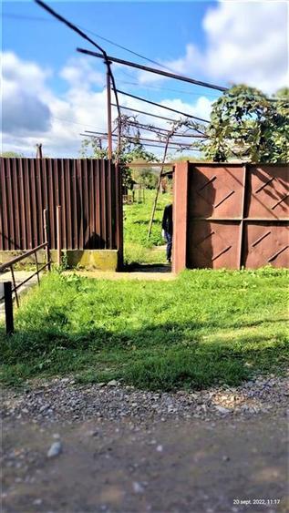 Teren Construcții intravilan de 9800 mp, în Buciumi