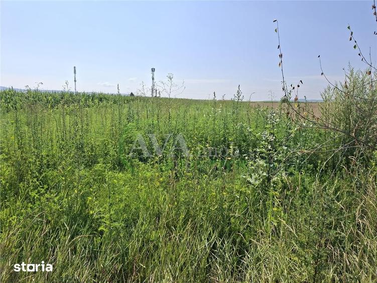Teren de 1600 mp, în Nicolae Bălcescu