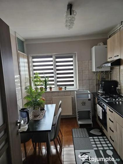 Apartament cu 2 camere decomandat în Terezian