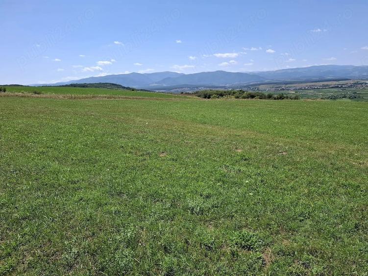 Teren de 3800 mp, în Șelimbăr