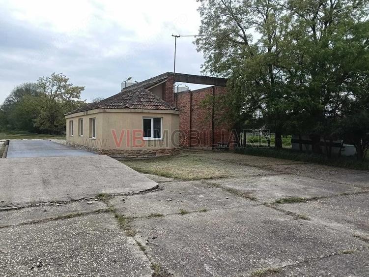 Ferma complet utilata 30 ha teren comasat cu 11.500mp grajduri renovate Timi? Comuna Biled - 20