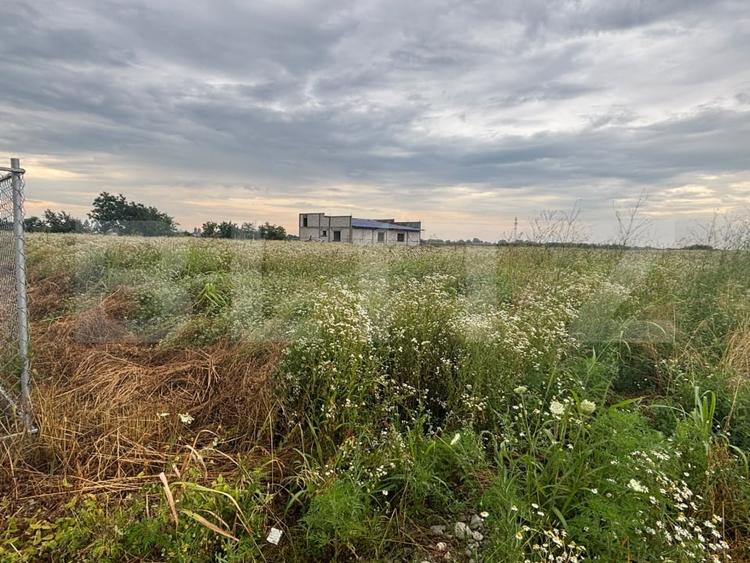 Teren intravilan de vânzare, 536 mp/lot, zona Ulmi - 1