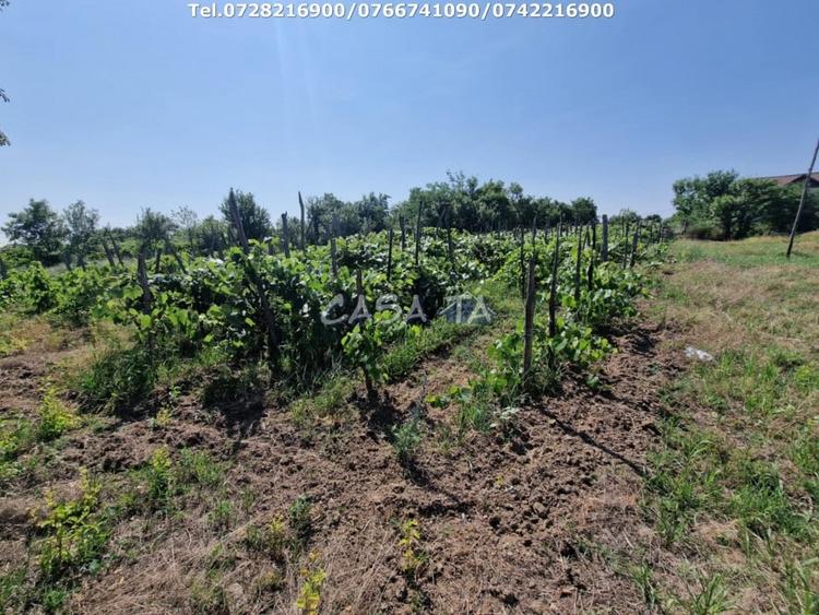 Casă individuală cu 3 camere cu Teren 4721 Mp în Dănești