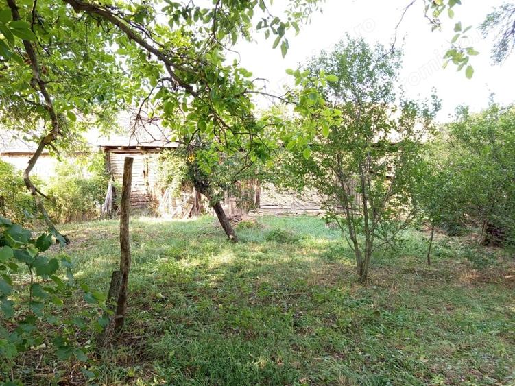 Casă cu Teren 1151 Mp în Ciuchici