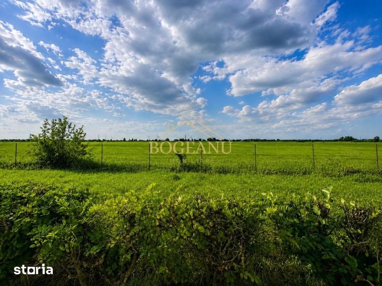 Teren de 46400 mp, în Giroc
