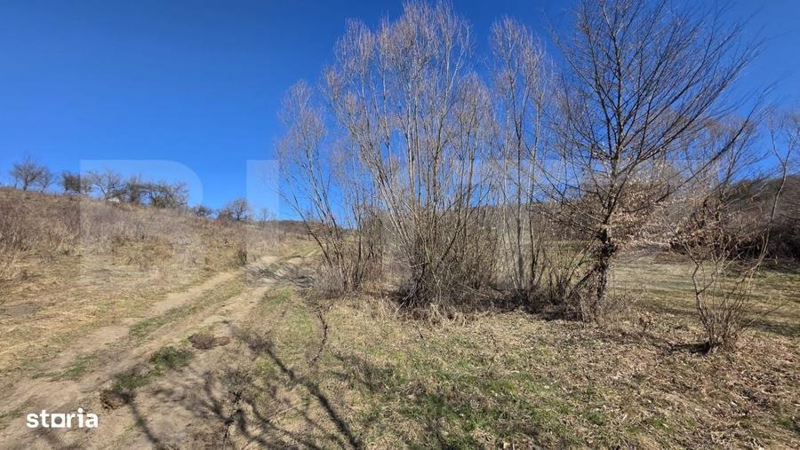 Teren de vanzare de 8,567MP in zona: Tarpiului - 5