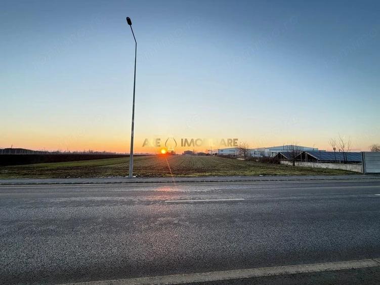 Teren de 2500 mp, în Brănești