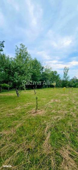 Casa de Vacan?a Teren 2.952 mp Cerna Vaideeni Jud Valcea 70.000 E