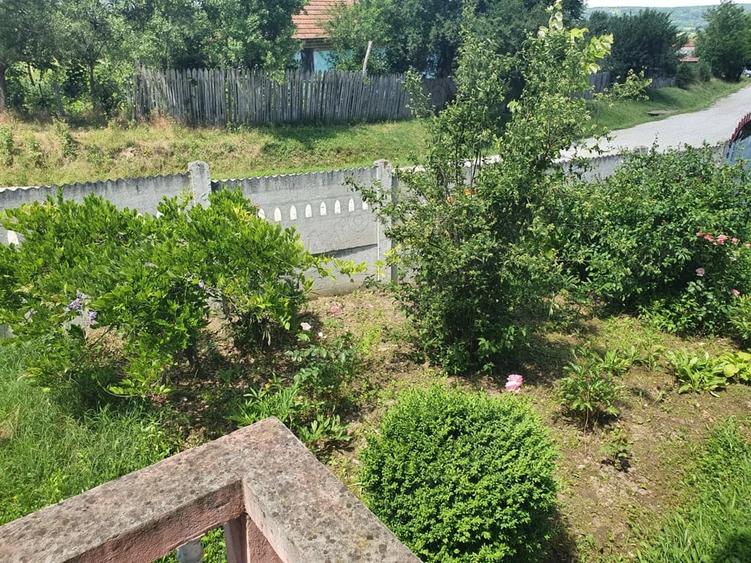 Casă cu 5 camere cu Teren 3000 Mp în Butoiești