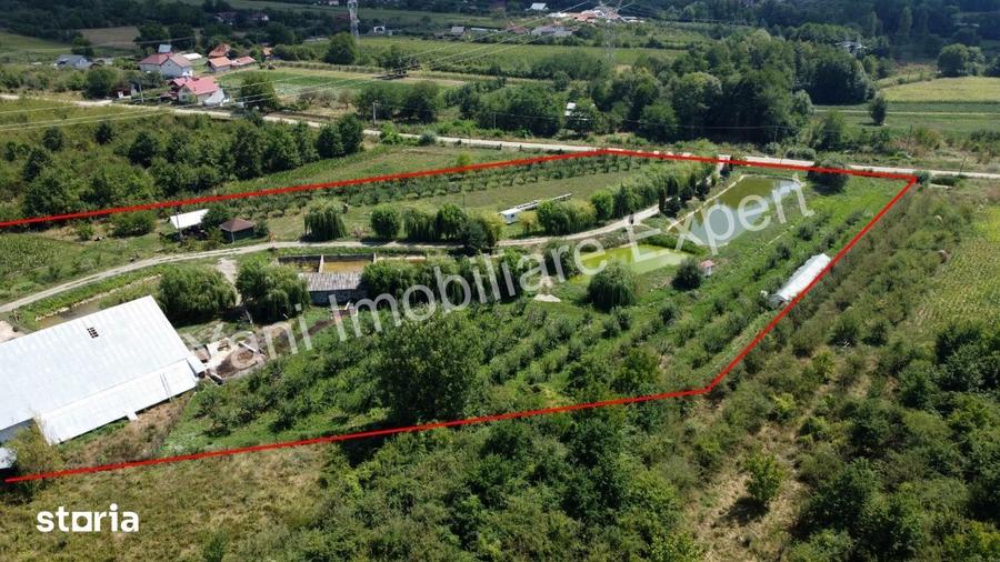 Teren de 40672 mp, în Cepari