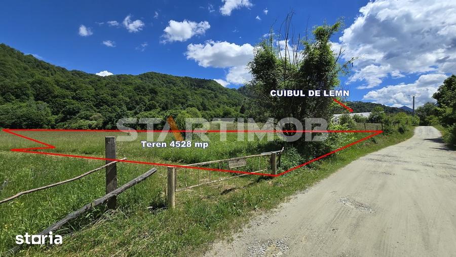 Teren extravilan Glajarie zona Cuibul de Lemn - 4