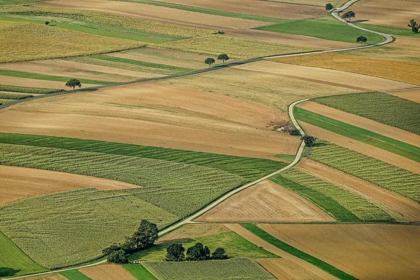 Teren agricol extravilan de 10000 mp, în Nord