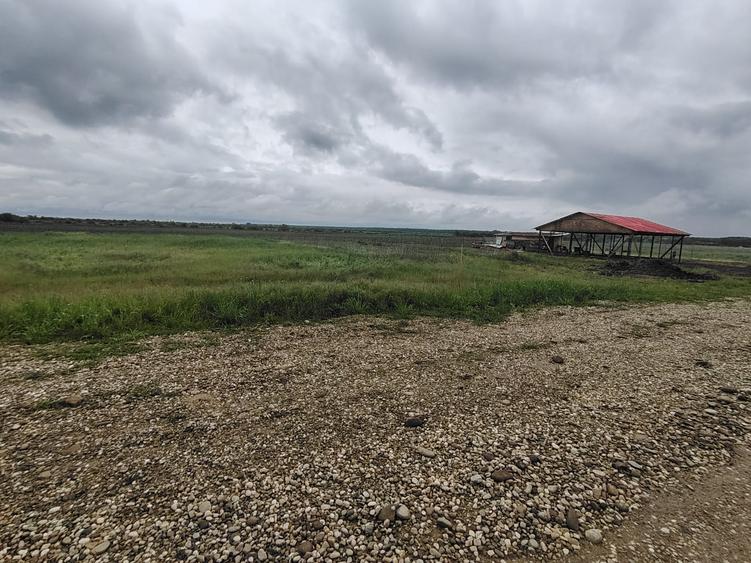 Teren Construcții intravilan de 860 mp, în Crevedia