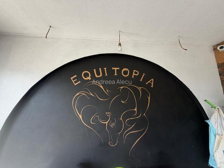 AFACERE LA CHEIE - Equitopia Ranch Bragadiru!