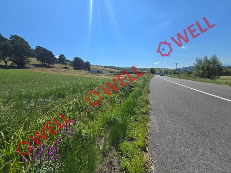 Teren extravilan de 3450 mp, în Valea Mare