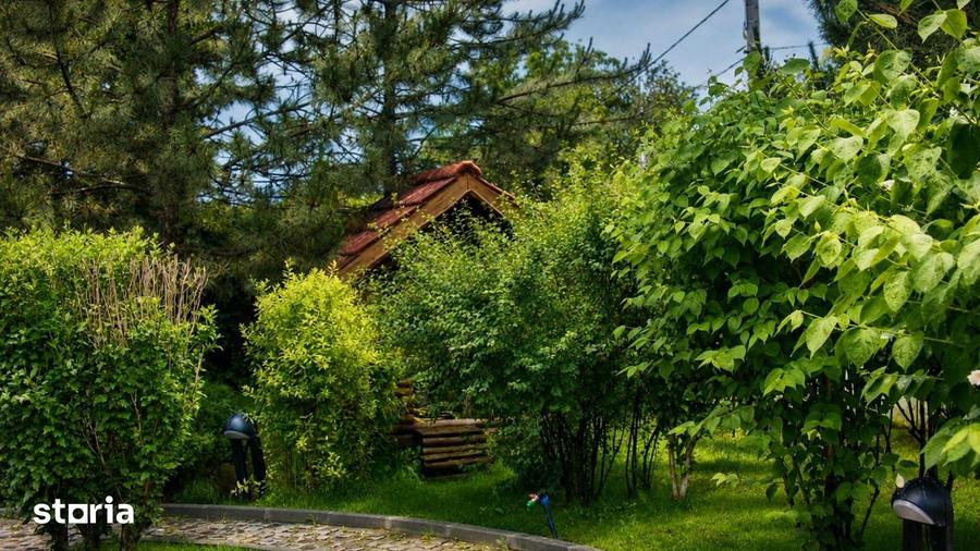 Vila 335 MP utili I Curte 1670 MP I Saftica - Balotesti I De vanzare - 8