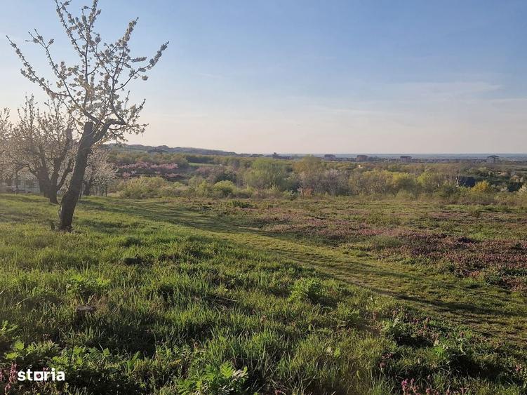 Teren de 3100 mp, în Paleu