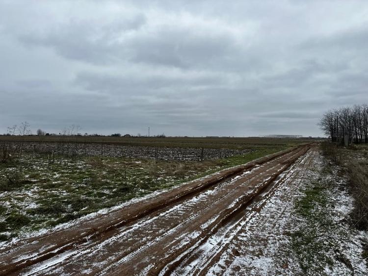 Teren Construcții intravilan de 10000 mp, în Coșoveni