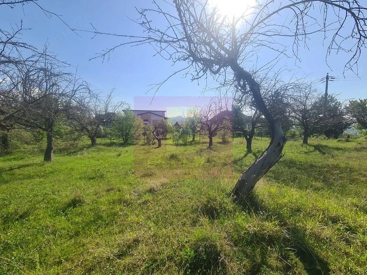 Teren de 2500 mp, în Voila