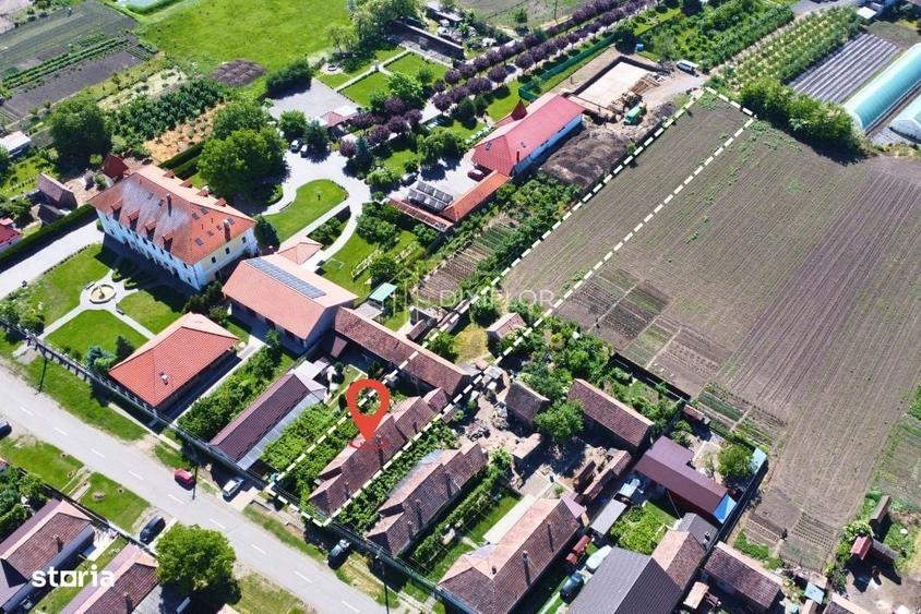 Casă cu 4 camere cu Teren 2349 Mp în Criș