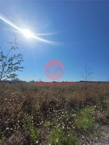 Teren Costinesti 1000 mp, Aproape de Plaja si de Nibiru, Ide - 3