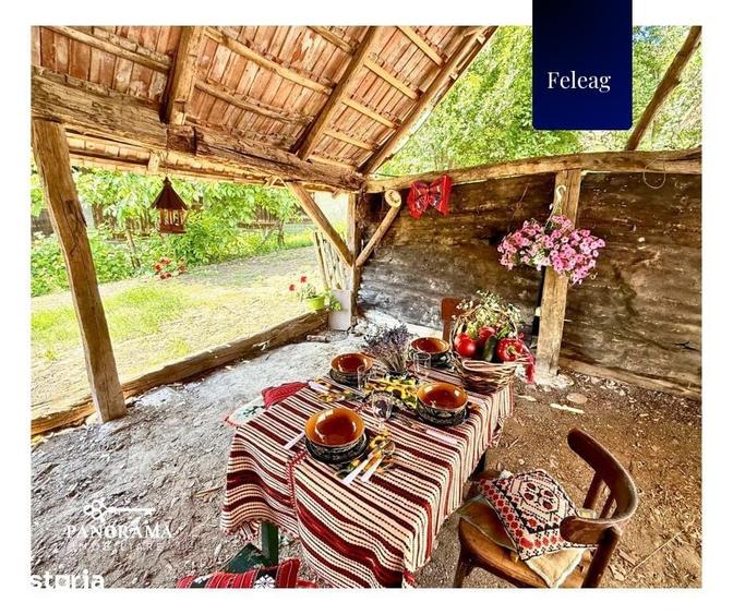 Casă cu 3 camere cu Teren 1590 Mp în Vânători