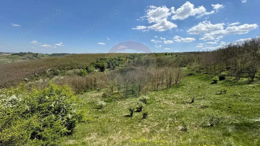 Teren de 659000 mp, în Copșa Mică