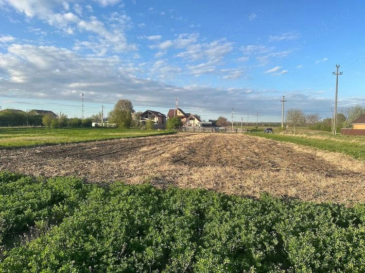 Teren de 1500 mp, în Est