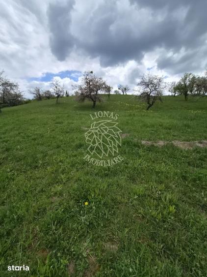 Teren de 24000 mp, în Galații Bistriței