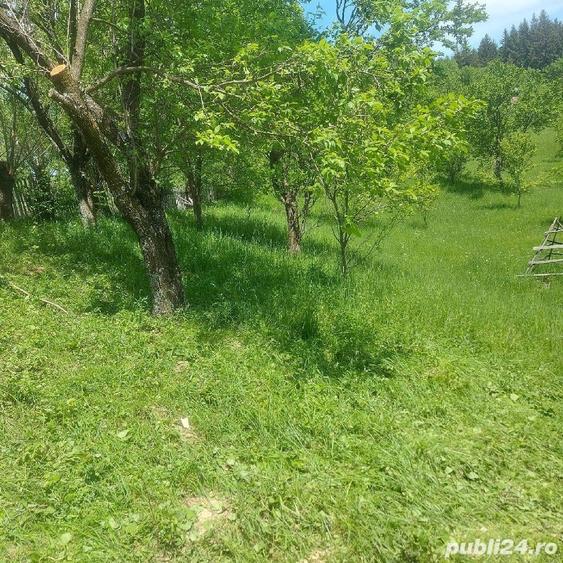 Teren de 7200 mp, în Secăria