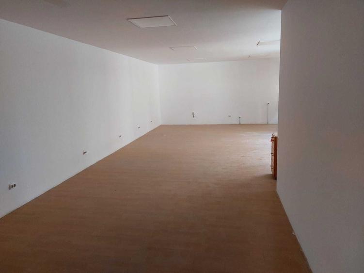 Spațiu comercial, de 175 mp, în Teiul Doamnei
