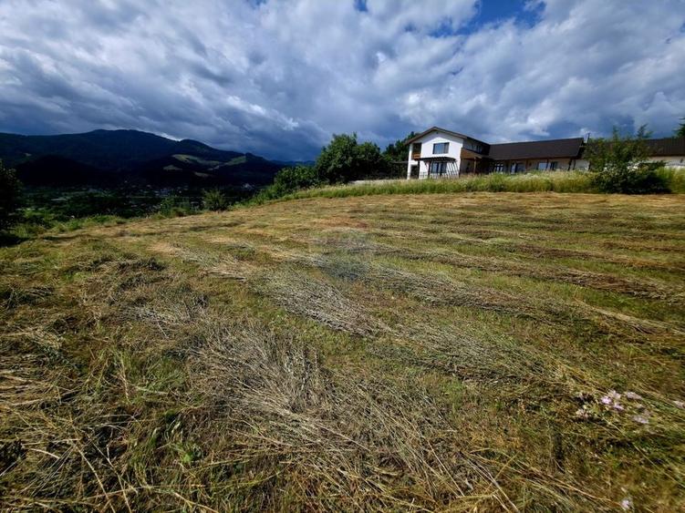 Teren Construcții intravilan de 600 mp, în Viișoara
