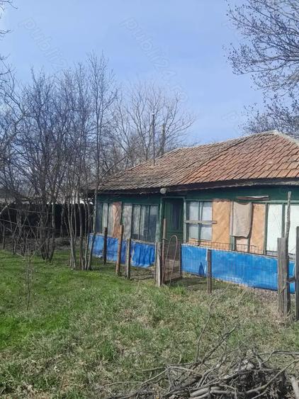 Teren de 5000 mp, în Albeni