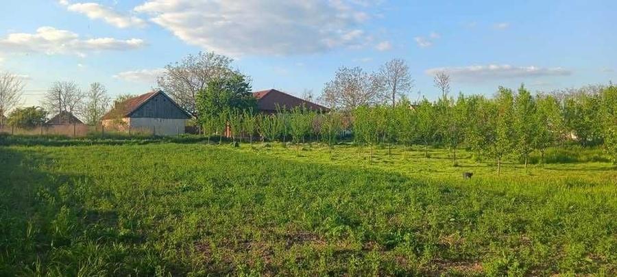 Casă cu 4 camere în Grăniceri