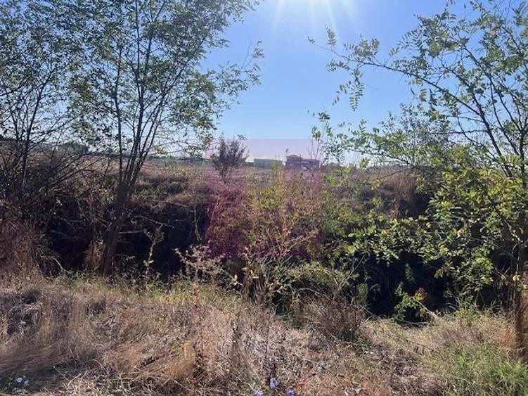 Teren de 6200 mp, în Cornetu