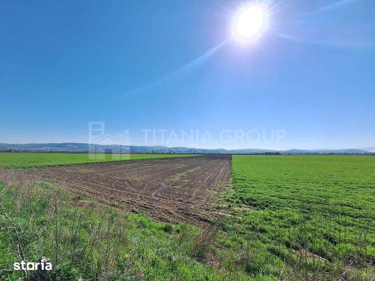 Teren de 8700 mp, în Bod