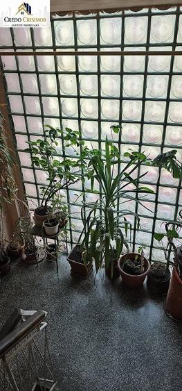 Apartament cu 2 camere decomandat în Luncă