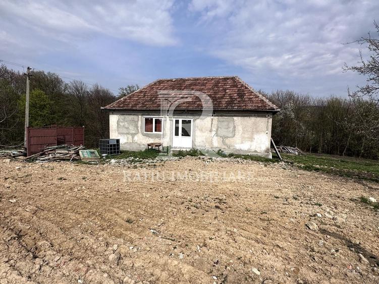 Casă individuală cu 3 camere cu Canalizare în Stracoș