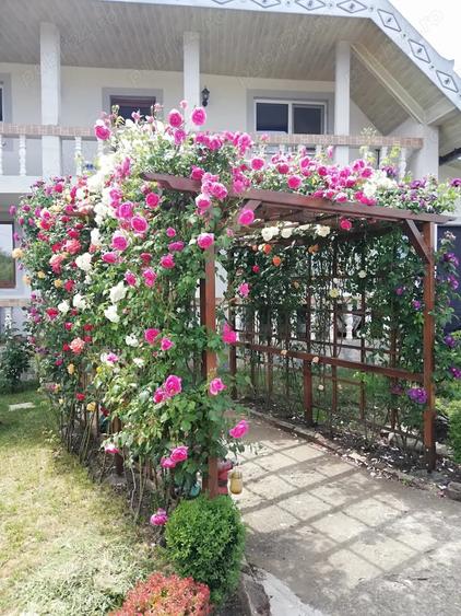 Casă cu 6 camere cu Teren 937 Mp în Mogoșești